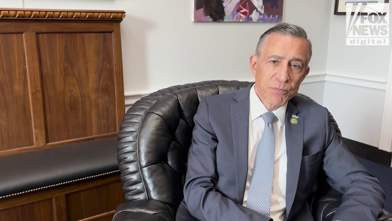 GOP lawmaker slams sanctuary policies for cultivating anti-ICE movement