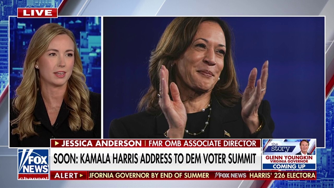 ‘I don’t think she has a platform,’ says former Trump administration official on Kamala Harris