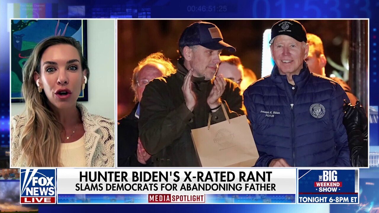 'No better way for Dems to lose': Strategist blasts Hunter Biden's 'disaster' interview