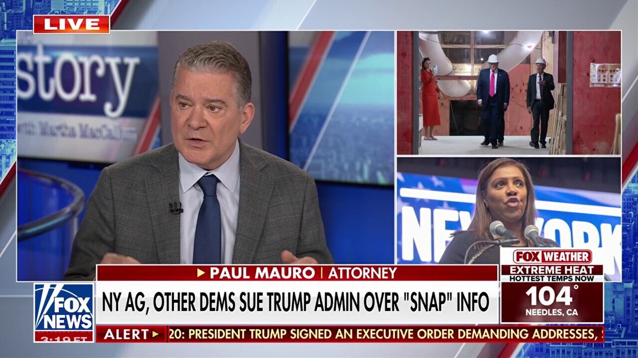 Retired NYPD inspector calls NYC's level of 'scammery' over SNAP benefits 'mind-numbing'