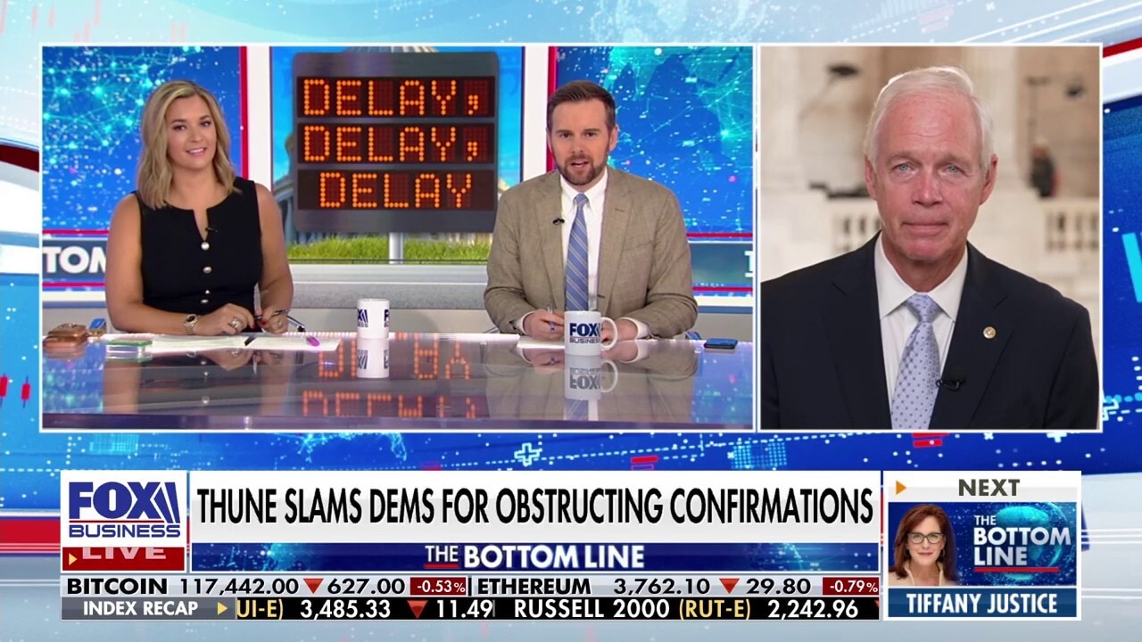 Ron Johnson labels Chuck Schumer, Senate Democrats the ‘problem’ in confirmation process