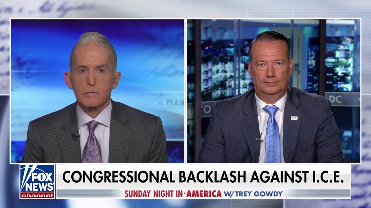 Our agents are enforcing the law the way it's written, says acting ICE director