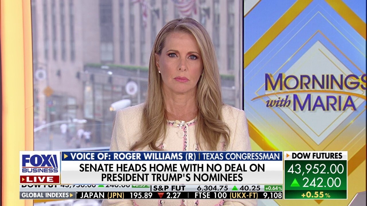 Texas GOP rep provides insight into the Democrats' protest of redistricting plan