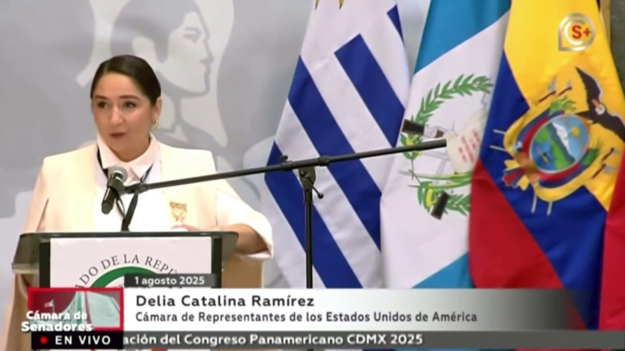 Dem lawmaker is more proud to be Guatemalan than American