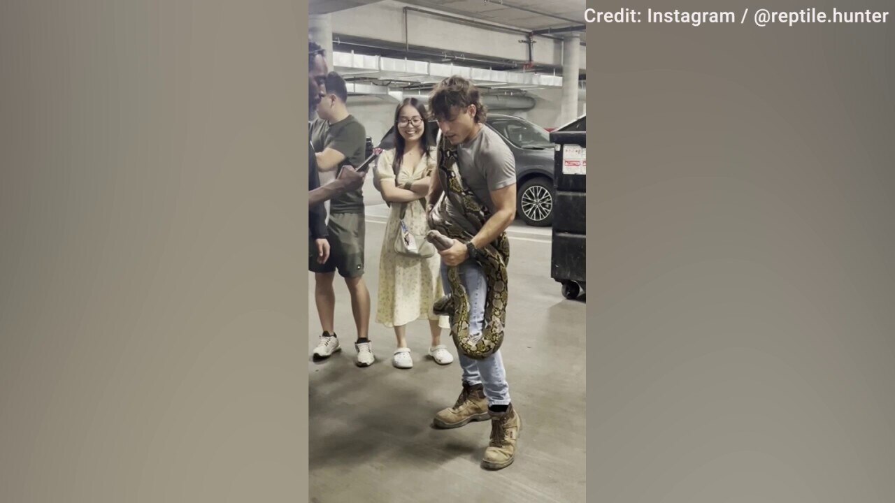 Reptile hunter removes 16-foot python from LA apartment building dumpster