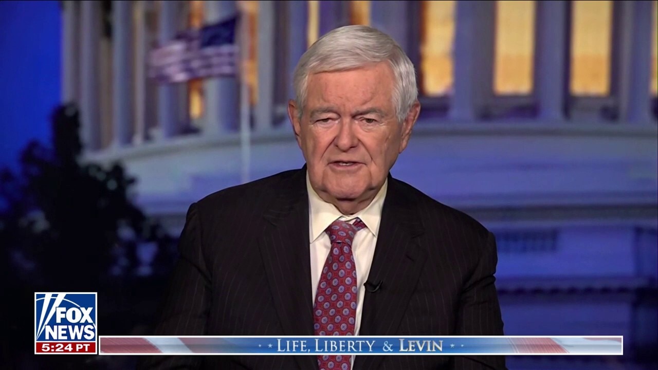 There's a 'profound question' surrounding Joe Biden and the autopen, says Newt Gingrich