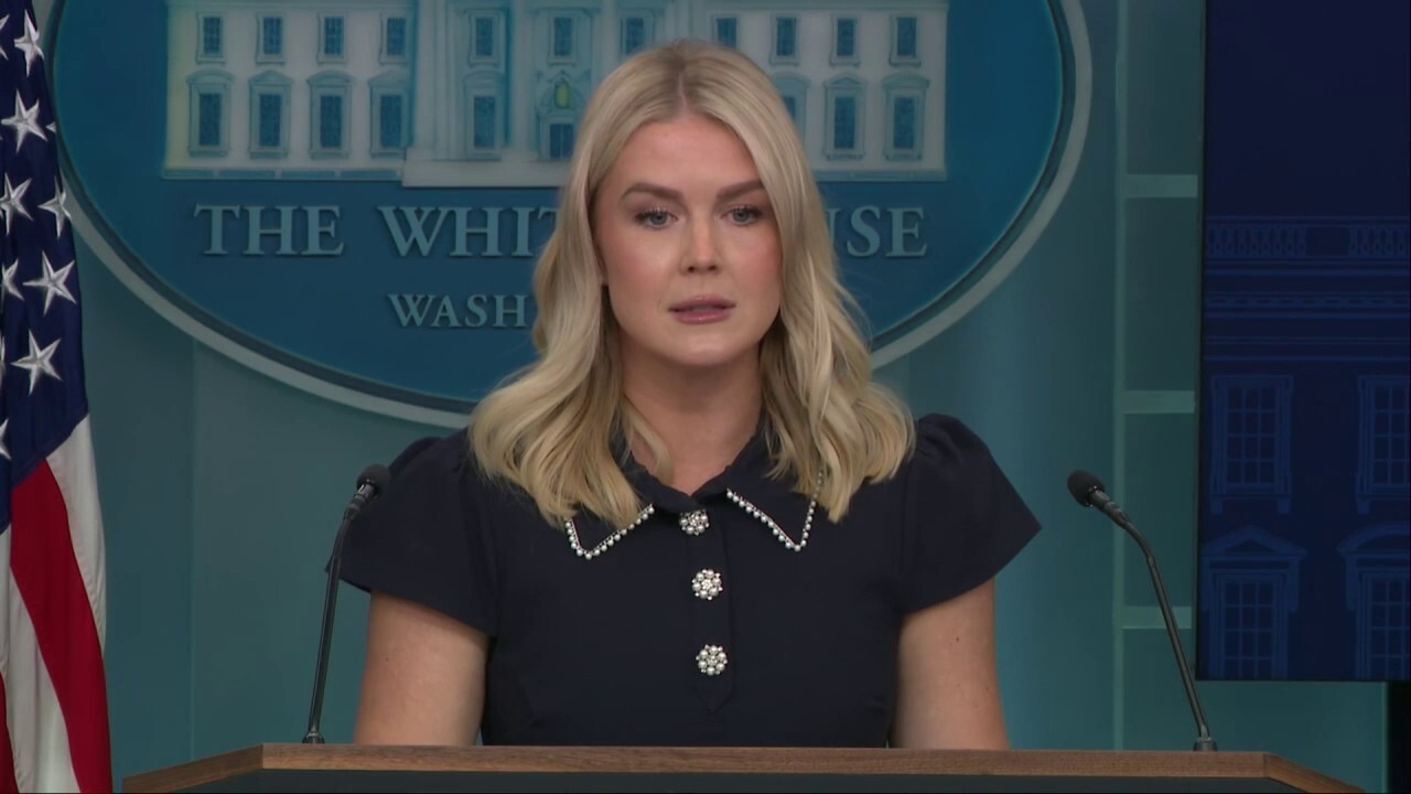 Karoline Leavitt lays out options for homeless people in DC