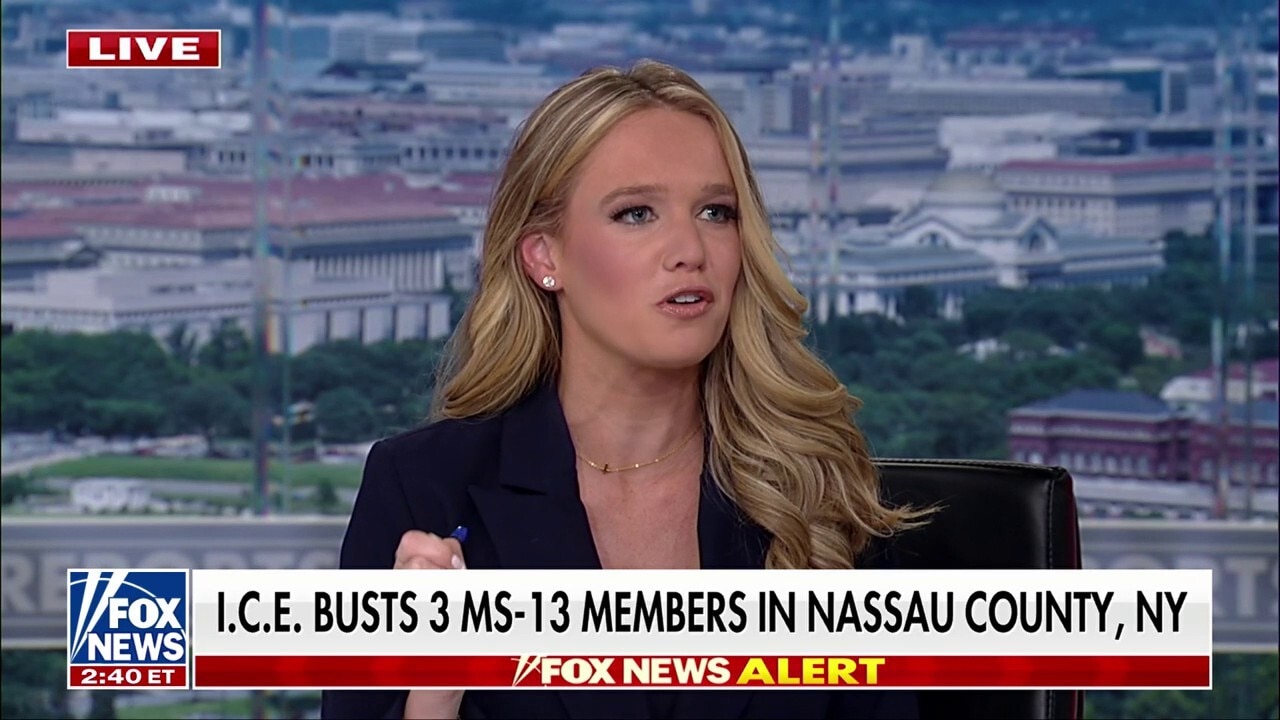 Illegal immigrants who’ve committed ‘brutal murders’ are considered ‘non-criminals’ by the media, says DHS official