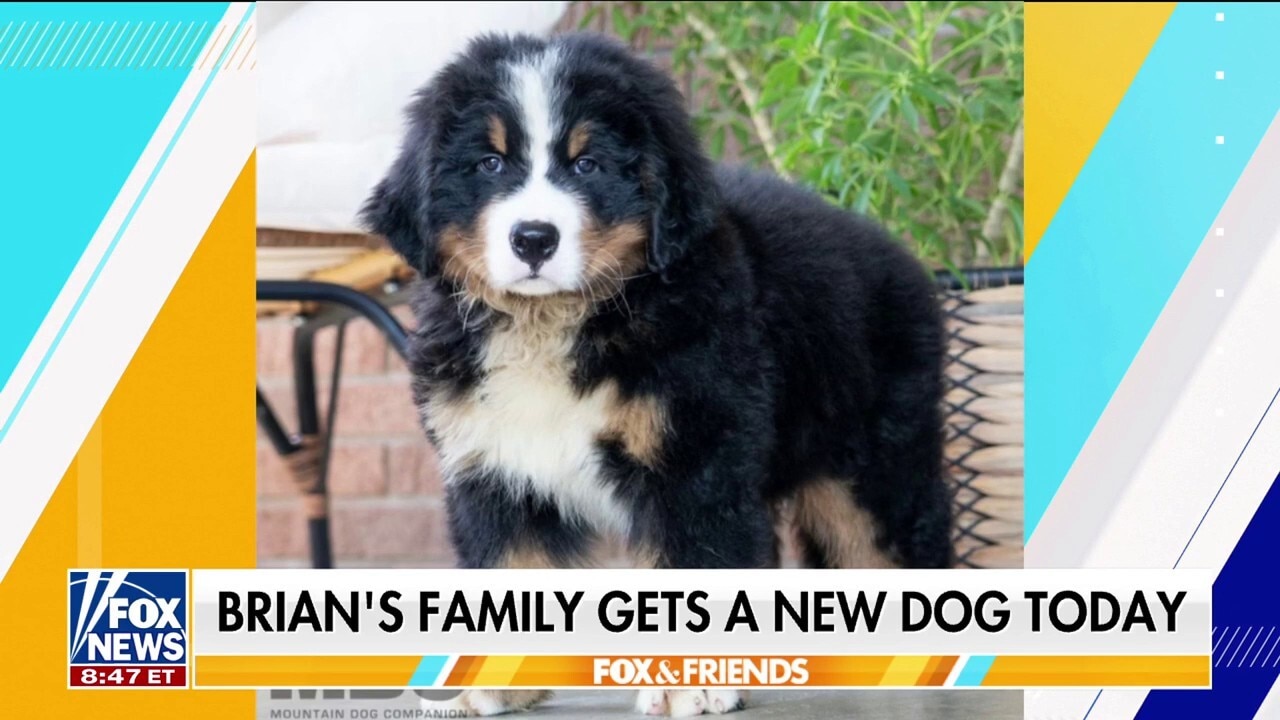 Brian Kilmeade welcomes an adorable puppy to his family