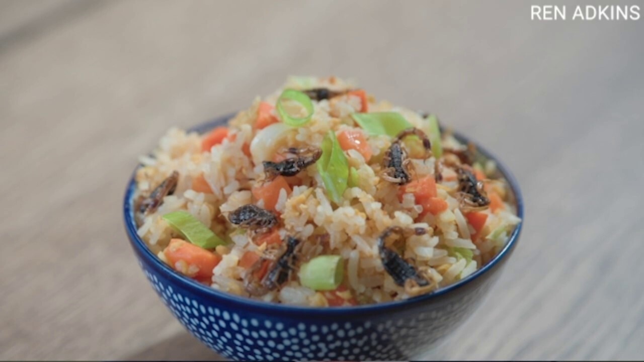 'Next Level Chef' judge finds cooking with insects 'educational and inspirational'