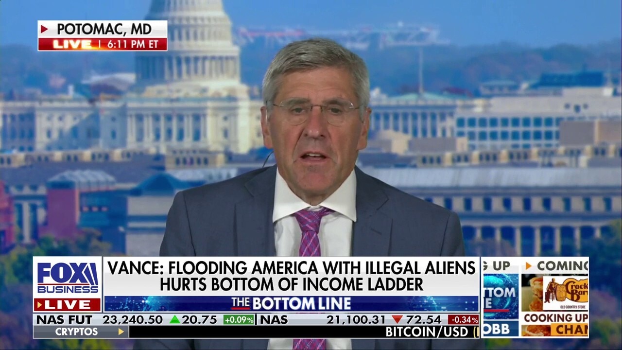 Former Trump economic advisor says he's 'still puzzled' by Democrats doing this 'to their own detriment'