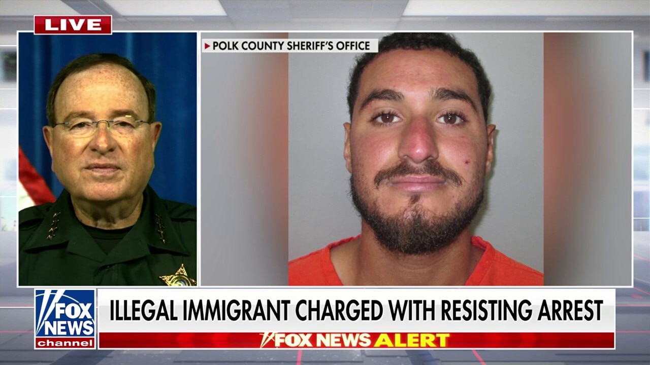 Sheriff blasts illegal migrant for smiling in arrest photo