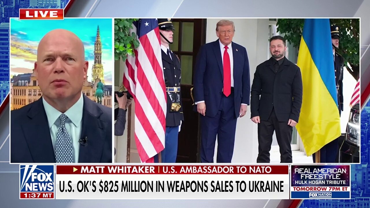 Trump ‘knows the cards’ he has left to play in ending Russia-Ukraine war: NATO ambassador