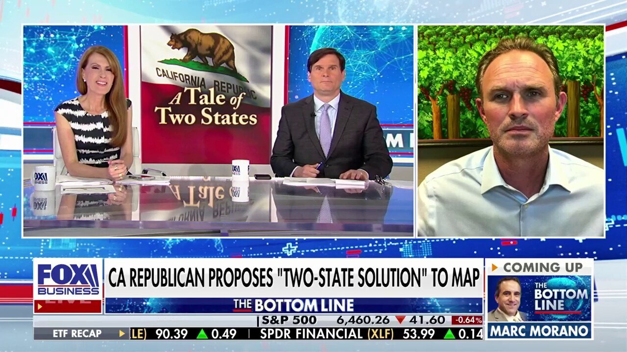  Democrats are trying to rig the system, California Republican says
