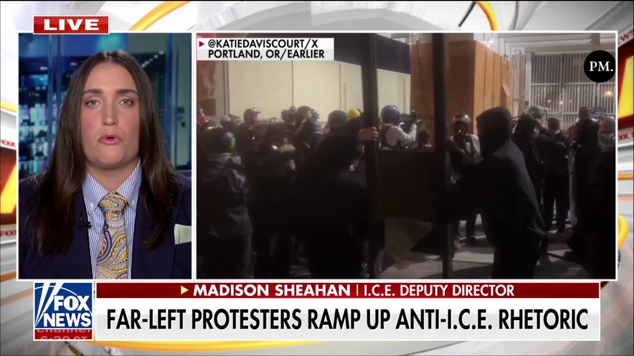 Deputy ICE director details 'historic' funding to local law enforcement amid crackdown