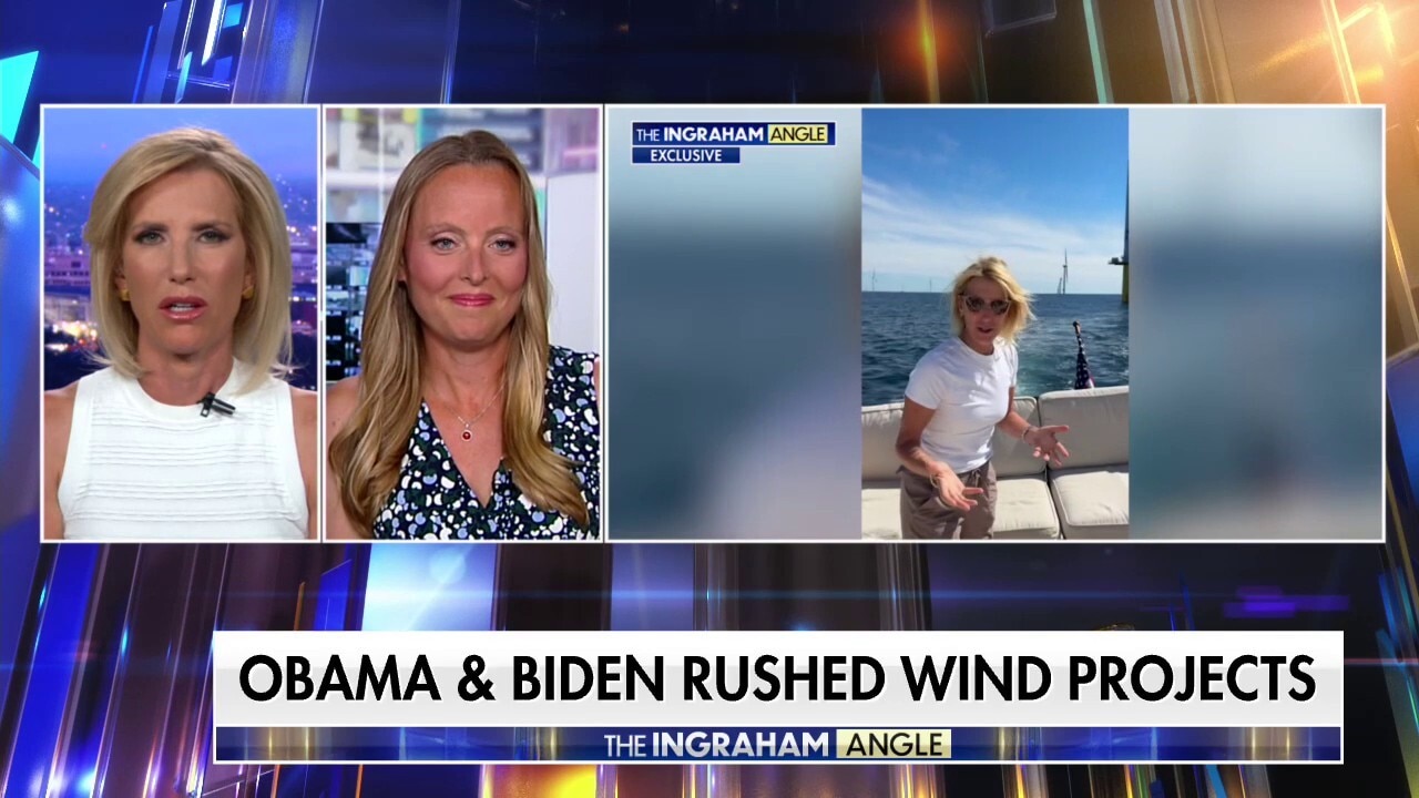 The shocking truth about wind farms