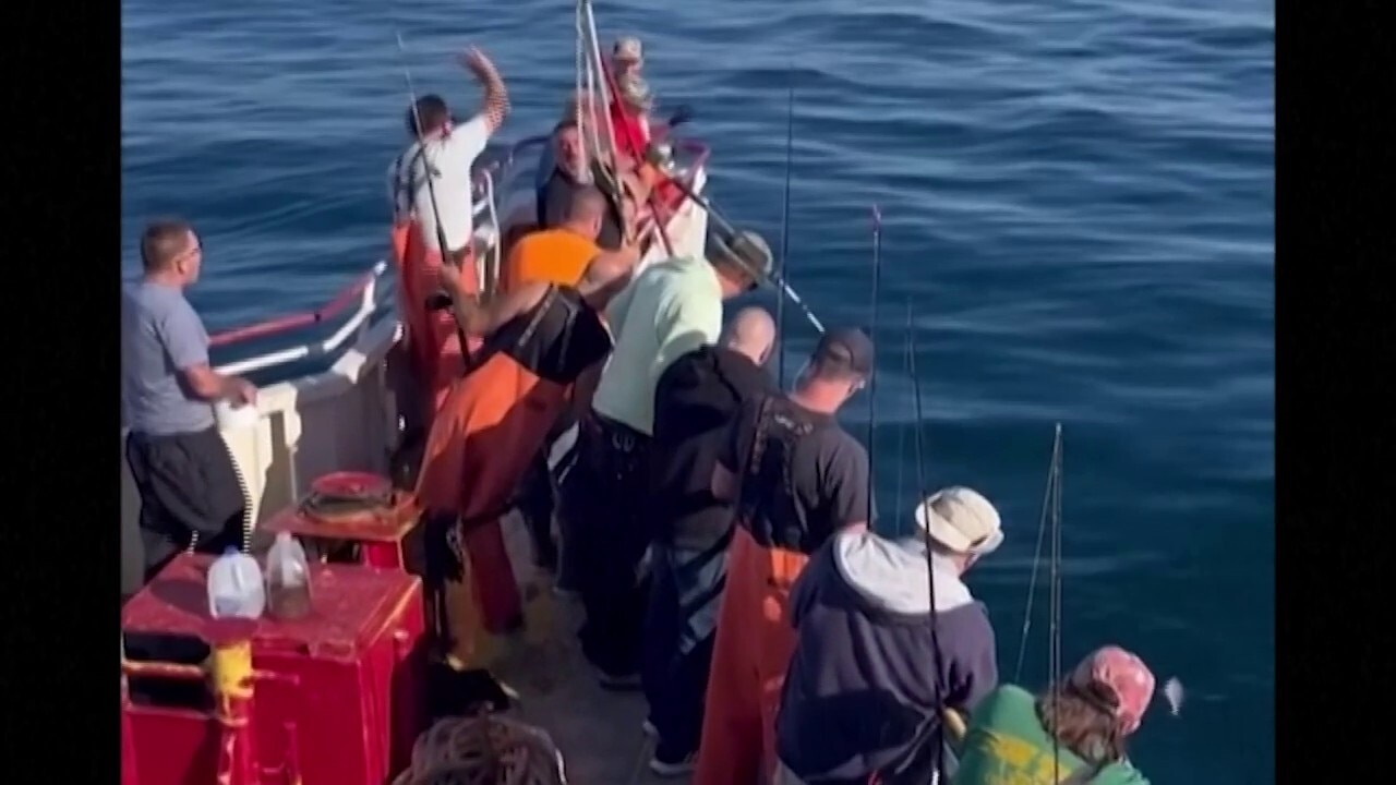 New Hampshire teen reels in huge halibut that weighs over 170 pounds