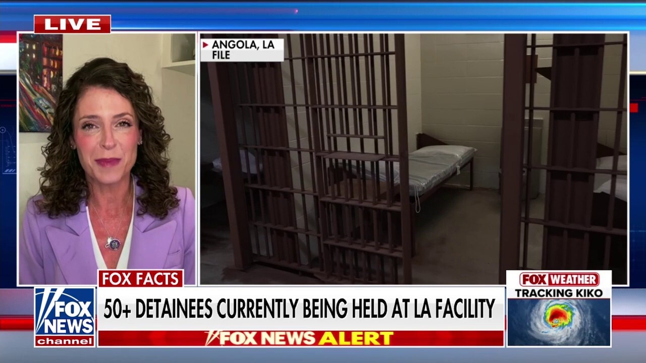 Louisiana is ‘leading the way’ on immigration crackdown: Rep. Letlow