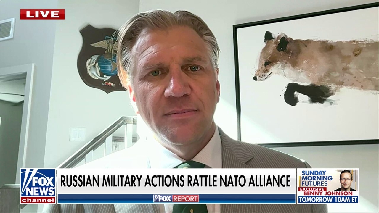 Putin making ‘deliberate effort’ to test limits of NATO airspace: National security expert