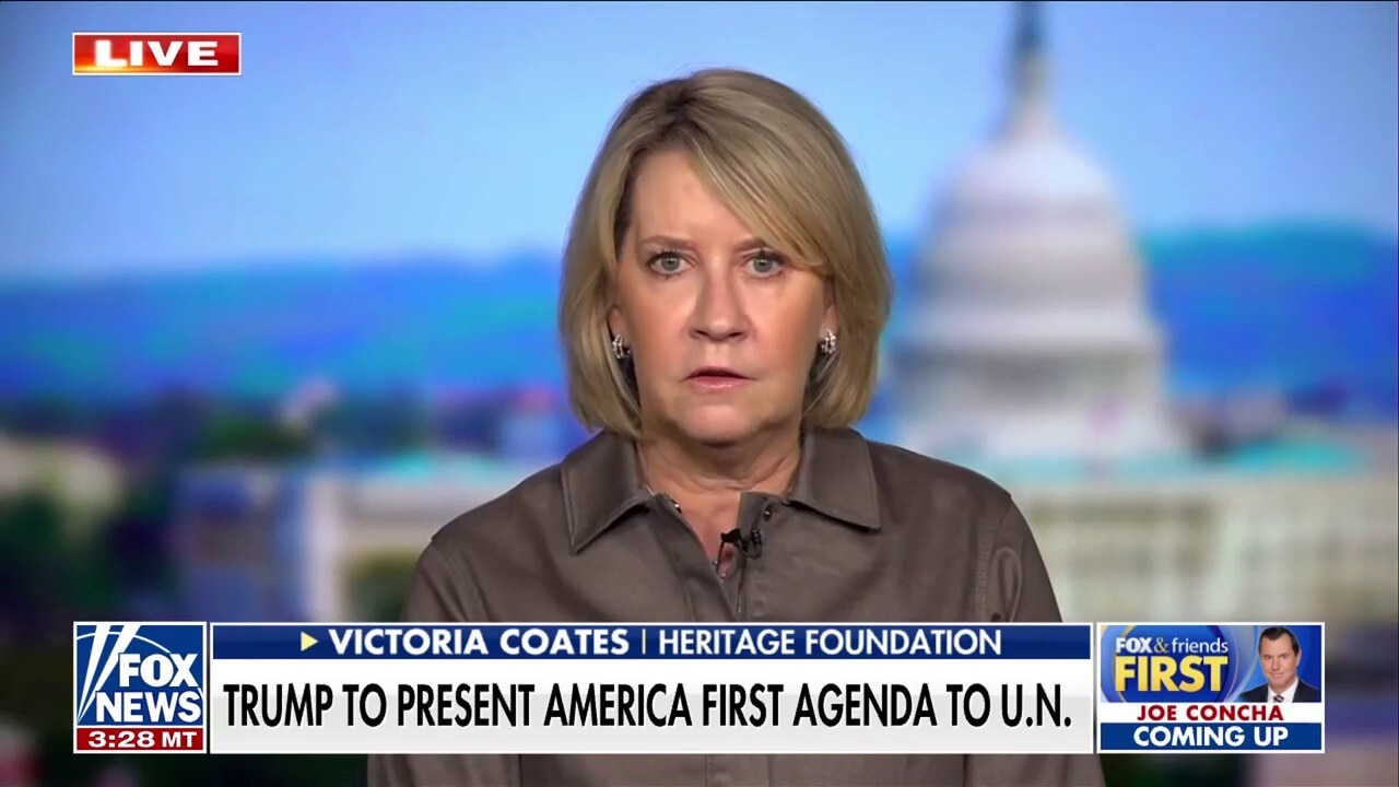 National security expert unloads on US allies for recognizing Palestinian state: 'Defies good sense'