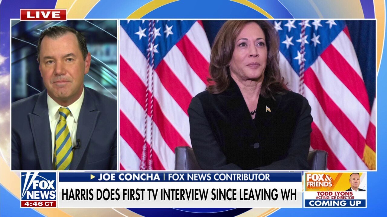 Kamala Harris acknowledges 'recklessness' of Dems' 2024 strategy