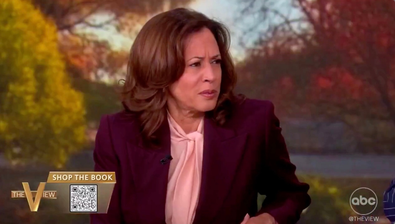 Kamala Harris addresses her infamous interview foul-up on 'The View'