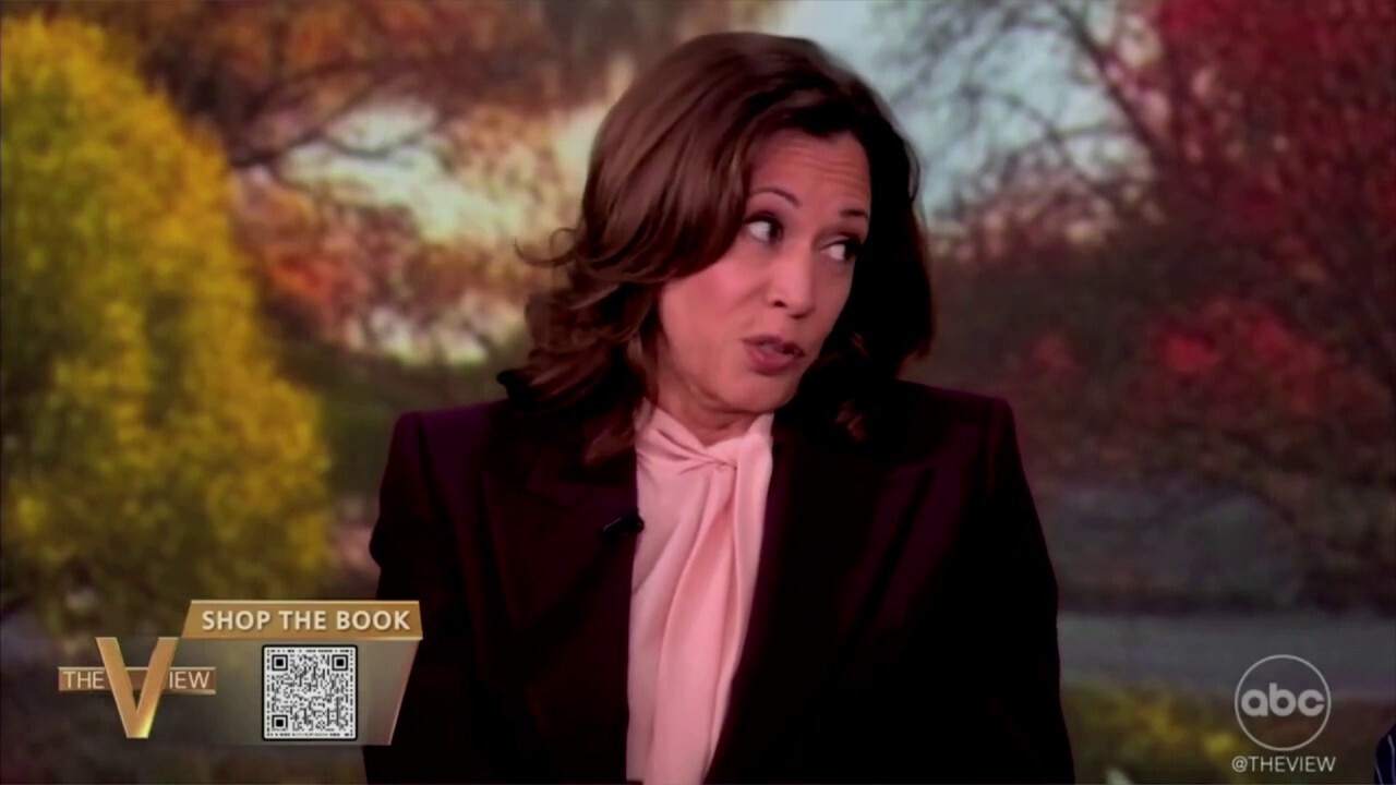 Harris tells 'The View' she 'didn’t have enough time’ to win 2024 presidential race