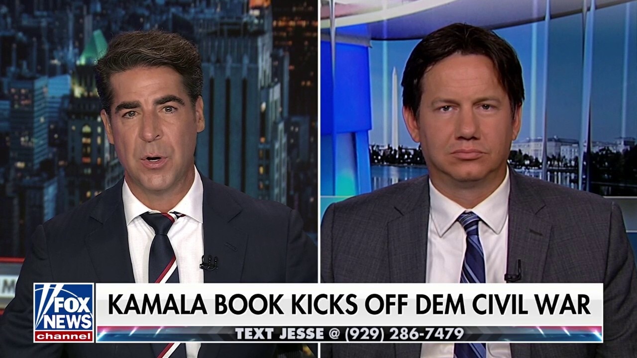 Kamala Harris was 'one of the original haters of ICE,' author recalls