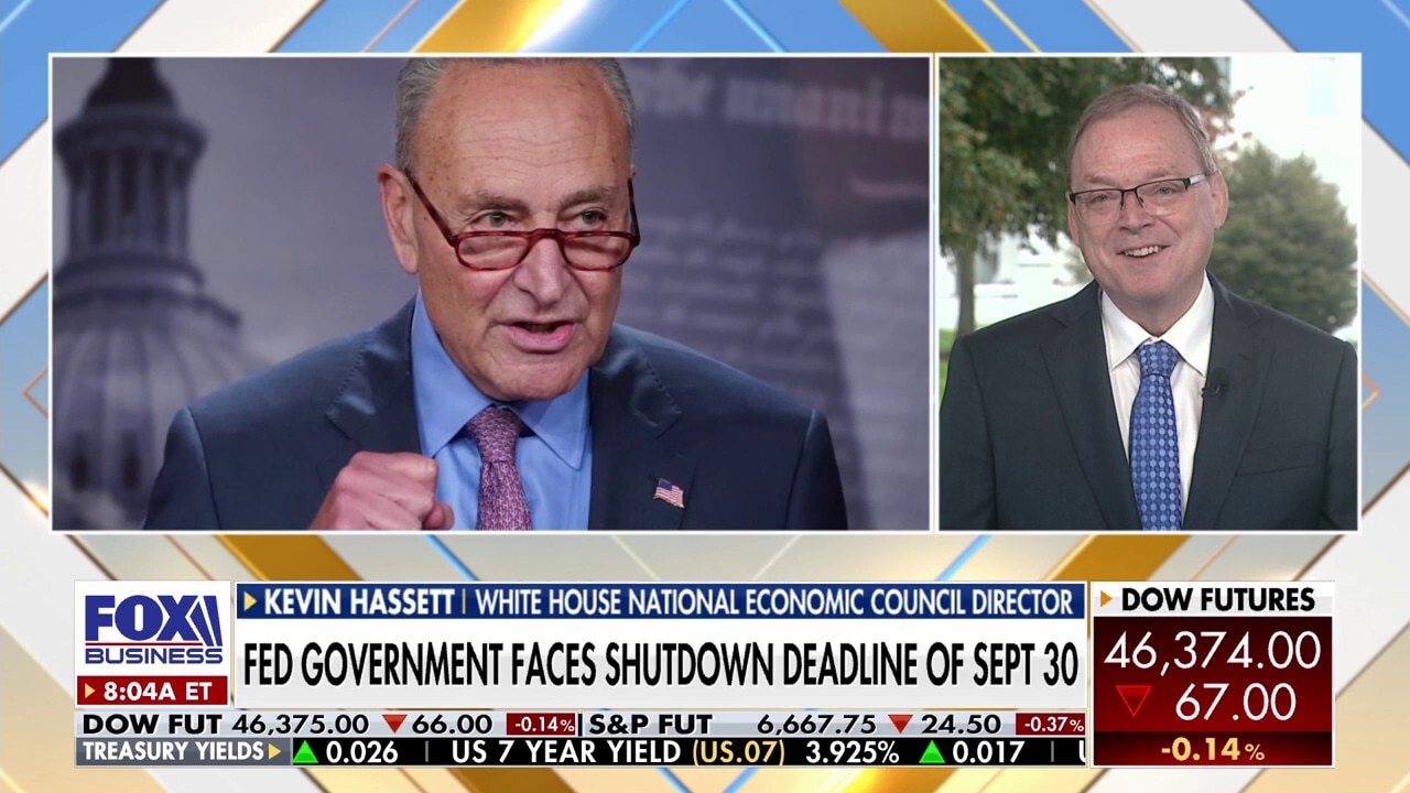 Democrats are willing to shut down government because they are 'losing so bad': Kevin Hassett