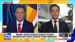 Putin spokesperson dismisses Trump's 'paper tiger' comment