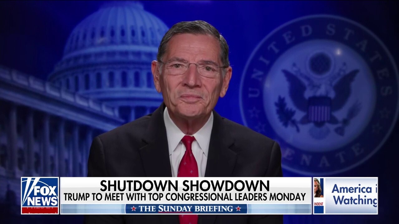 Schumer is trying to save his own hide, Sen. Barrasso says