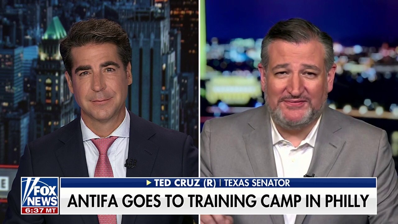 Ted Cruz: Antifa doesn't rise up organically, it is paid for