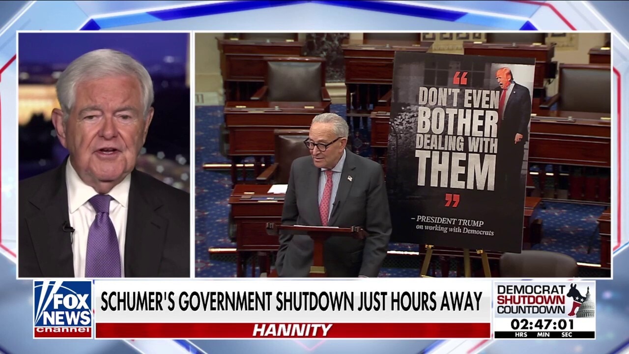 Newt Gingrich: Schumer and Jeffries are 'totally out of touch' with America