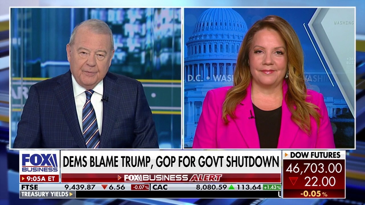 It is 'not a great situation for Democrats right now': Mollie Hemingway