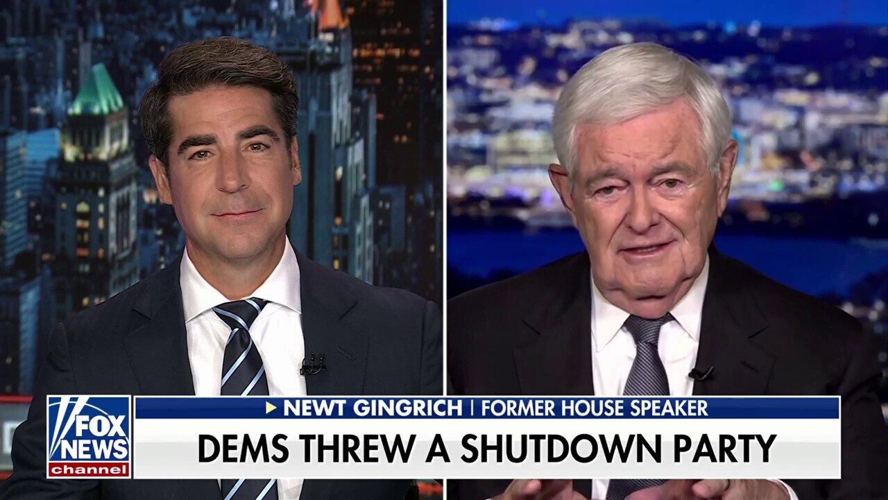 This is the 'Schumer Shutdown,' says Newt Gingrich