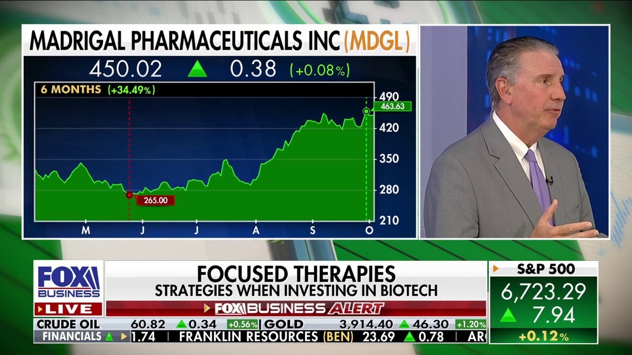 'Build a big portfolio': Wealth manager shares strategies for investing in the market