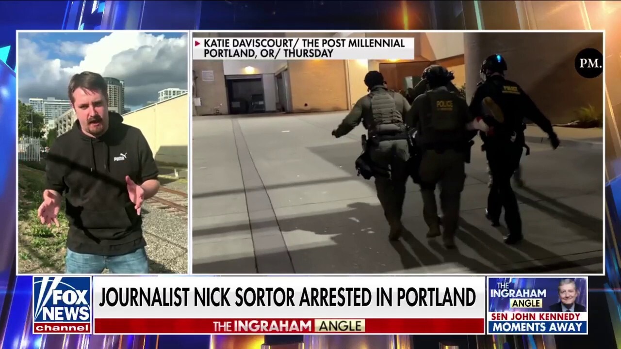 'WHAT IS THAT?': Journalist arrested in Portland calls out double standard with rioters
