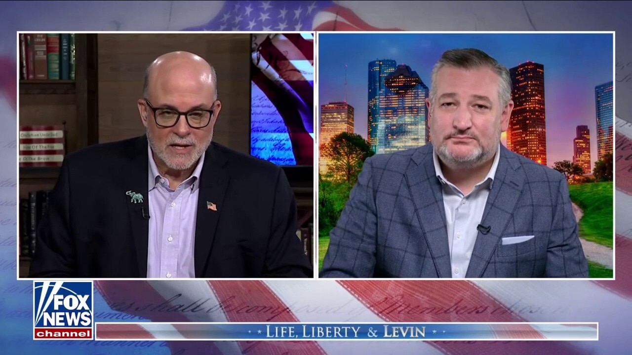 Ted Cruz: The government will reopen when Schumer's 'temper tantrum' ends