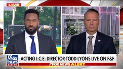 ICE director warns activists placed 'bounties' on agents in Chicago