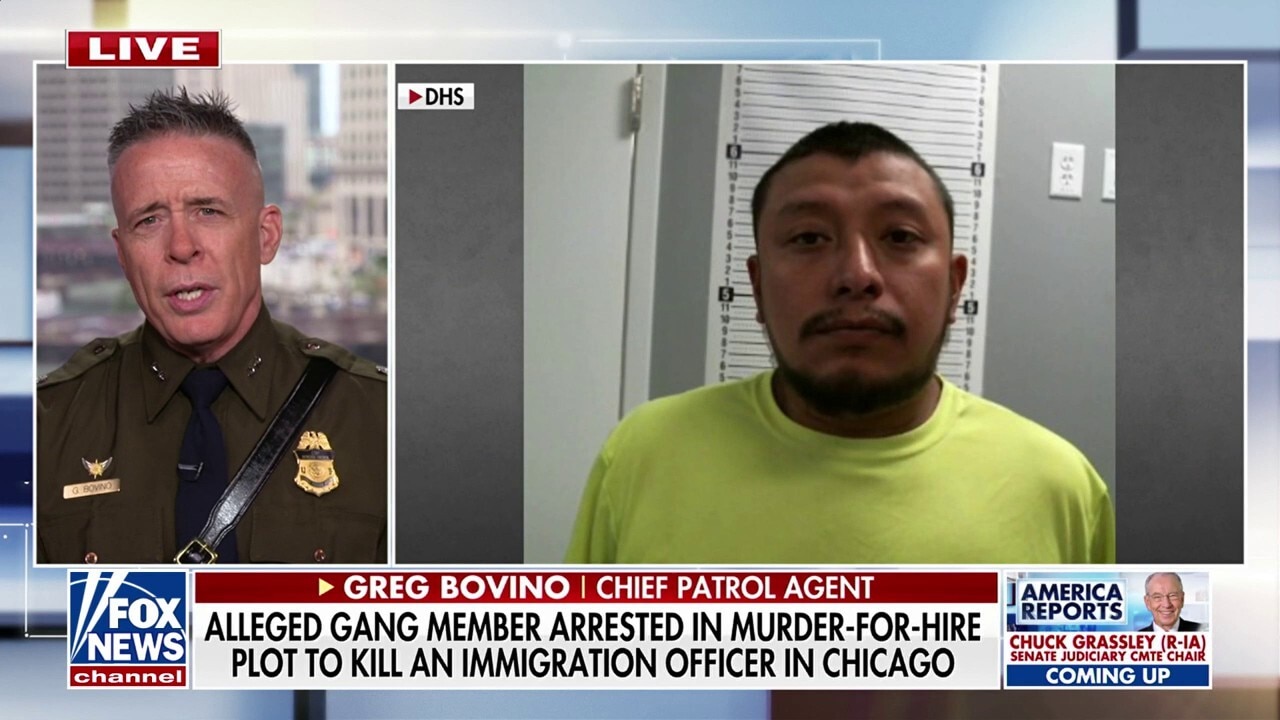 Chief patrol agent with bounty on his head explains why gang members feel 'comfortable' to place them
