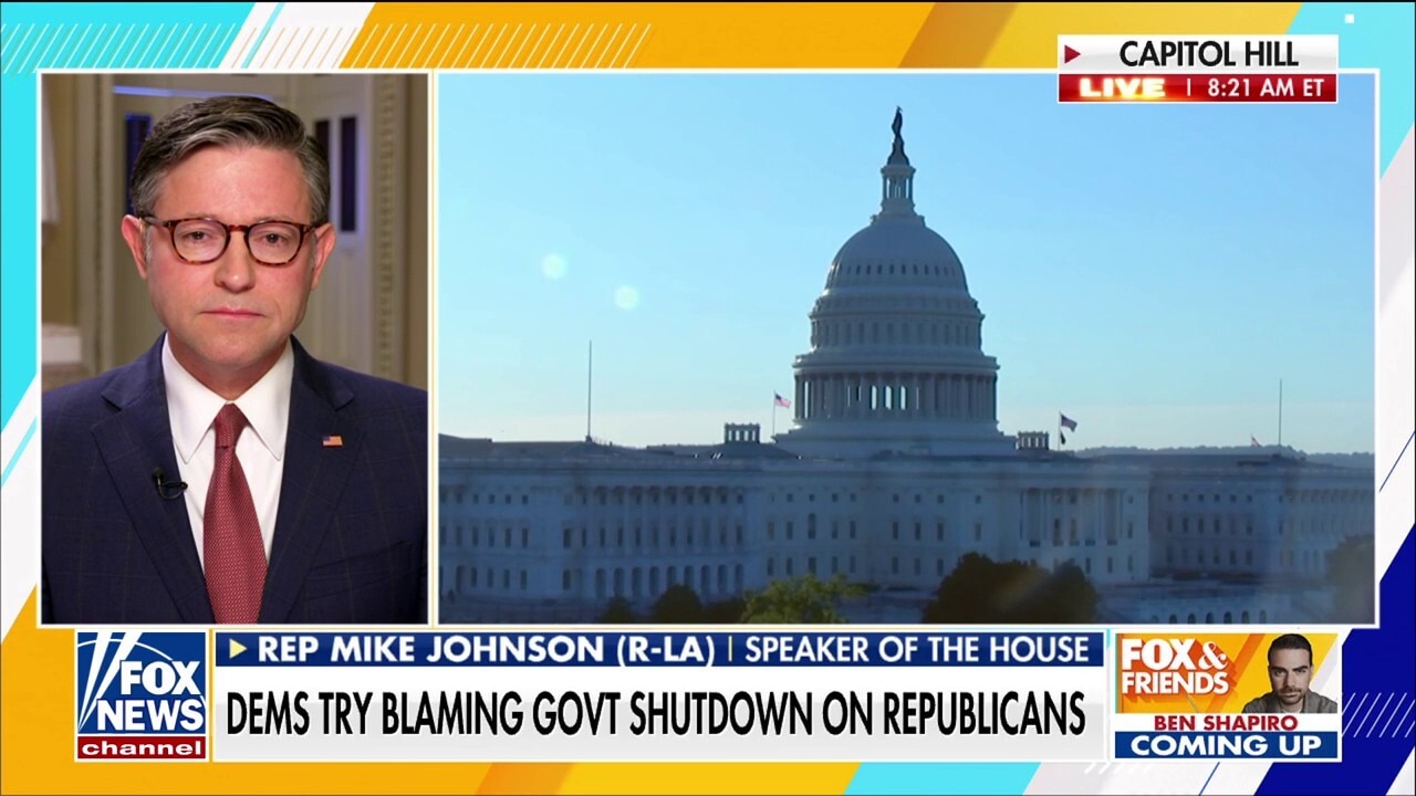 Watch Speaker Johnson accuses Democrats of 'playing politics' with ...