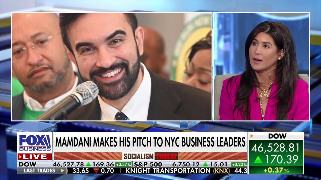 Zohran Mamdani deepens rift between Moderate and Progressive Democrats