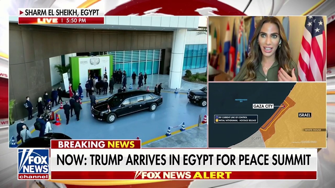 Pro-Israel activist praises Trump’s ‘heroic efforts’ in freeing hostages from Hamas