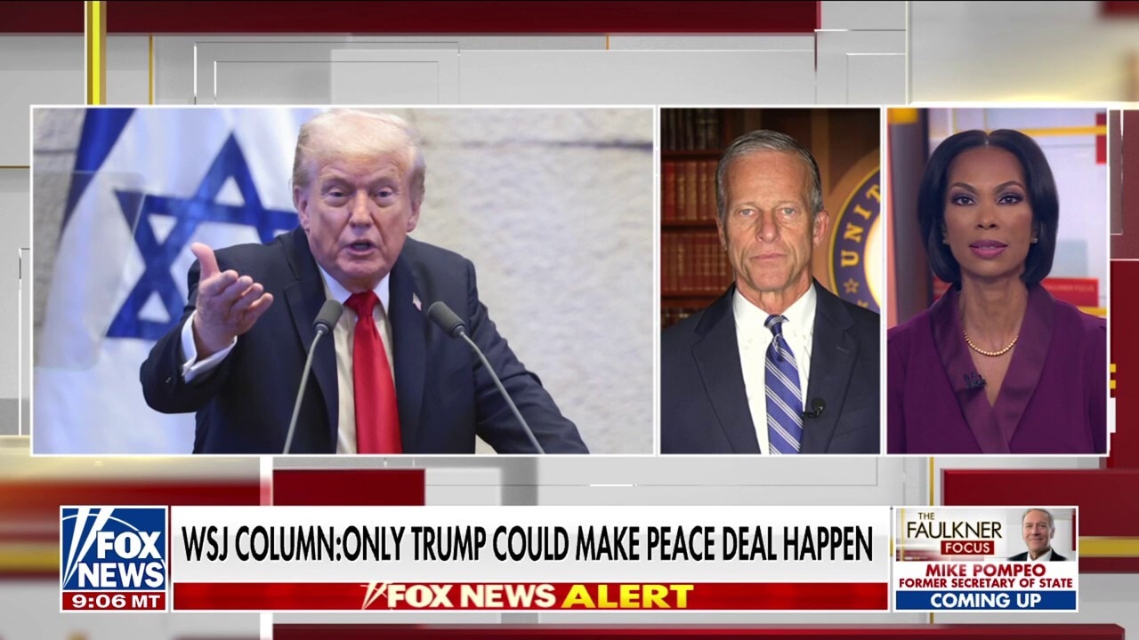 Sen. Thune blasts Dems for stalling shutdown deal: 'This needs to stop'