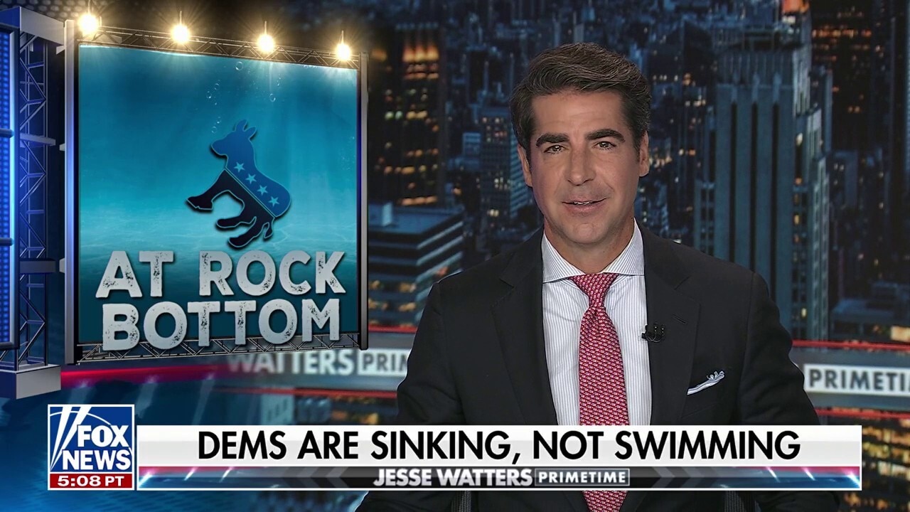 No one's in charge of the Democratic Party, says Jesse Watters