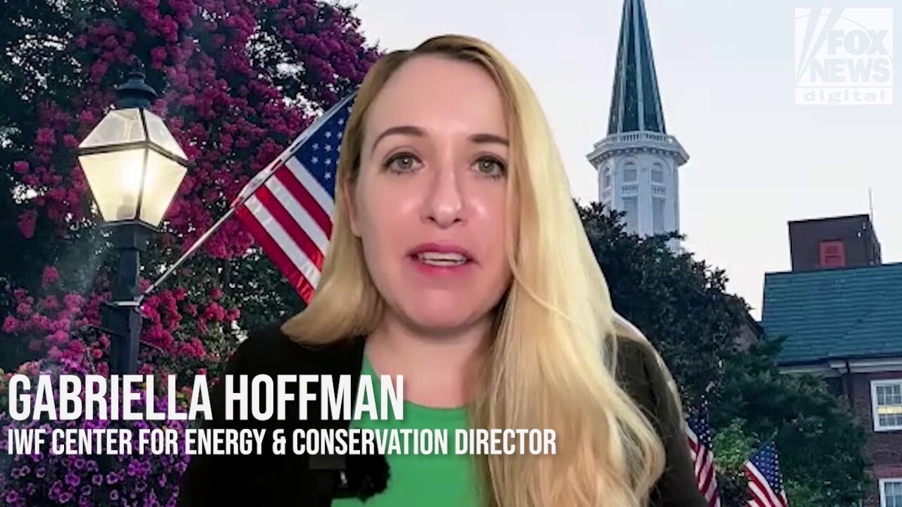 US energy abundance will ‘rebalance’ America, expert Gabriella Hoffman says