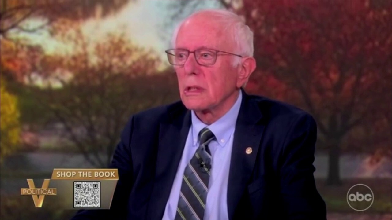Sen Bernie Sanders tells 'The View' the Democratic Party has 'fundamental decision' to make