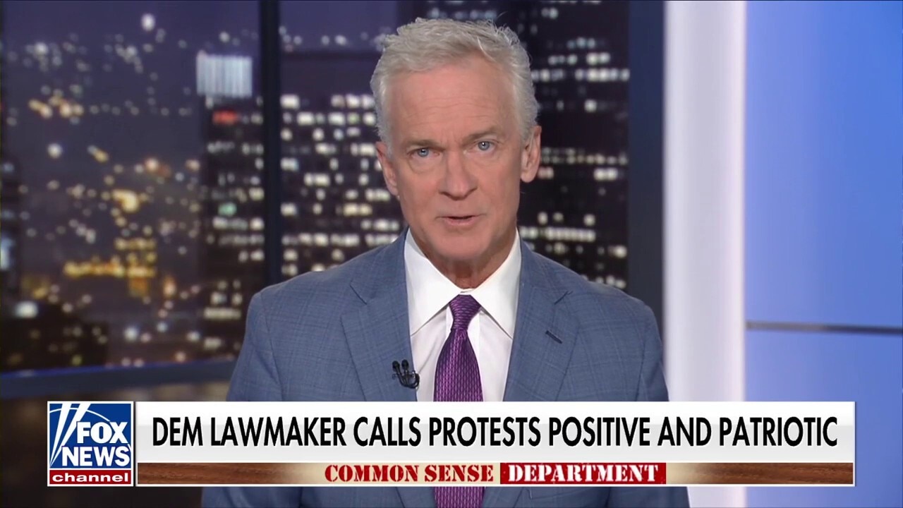 Trace Gallagher: Dems, legacy media could not impress upon us just how peaceful these protests were