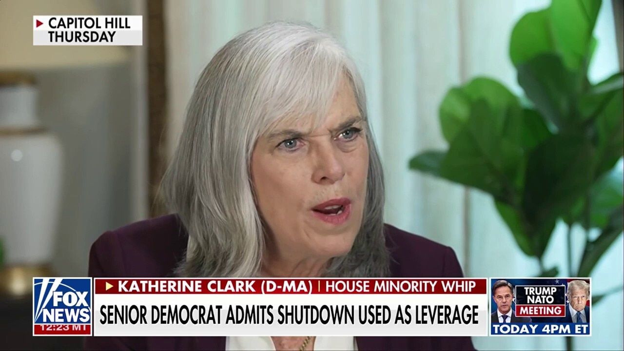 Senior Democrat admits government shutdowns are used as 'leverage'