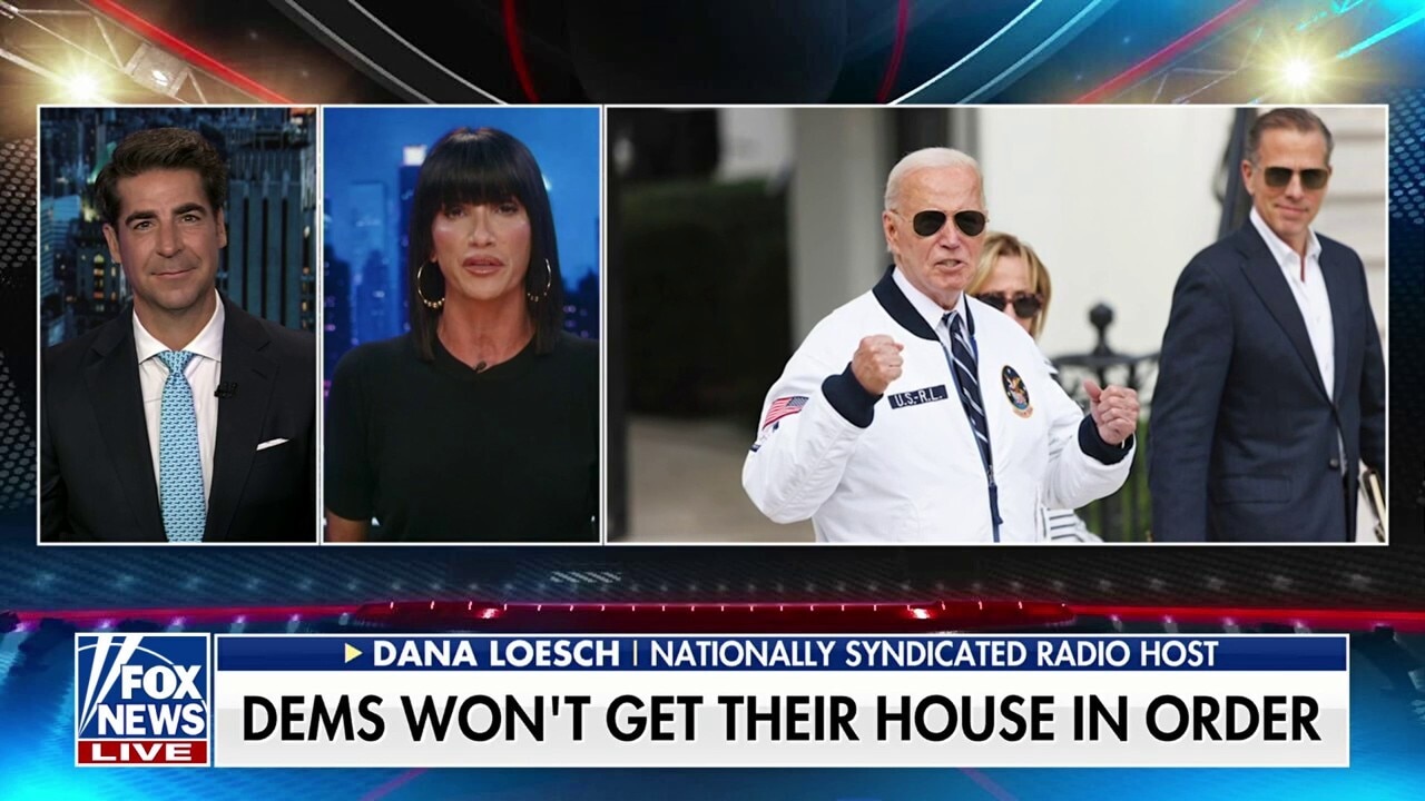 The Biden family had the 'red carpet rolled out for them': Dana Loesch